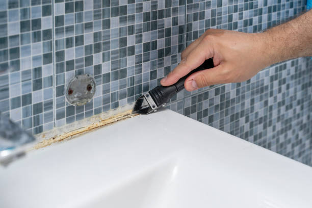 Best Mold Damage Repair  in Hopkins, SC